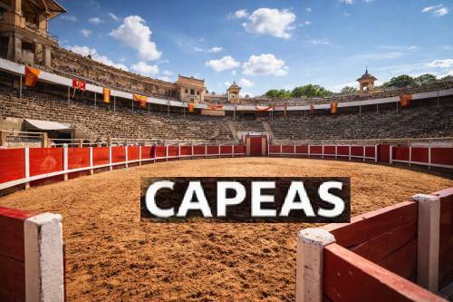 seguridad privada para capeas